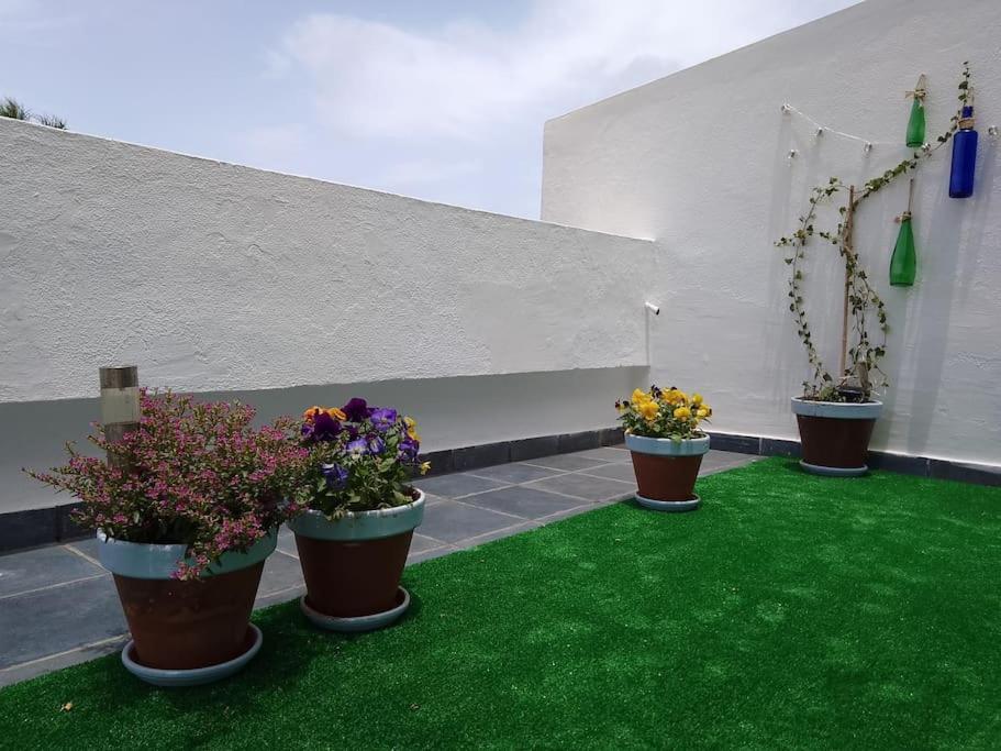 Apartamento Humboldt ,Island Paradise La Orotava Buitenkant foto