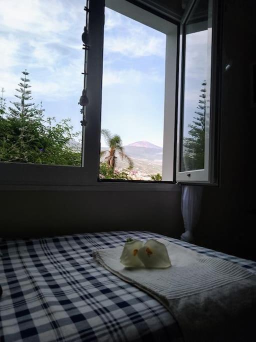 Apartamento Humboldt ,Island Paradise Appartement La Orotava Buitenkant foto